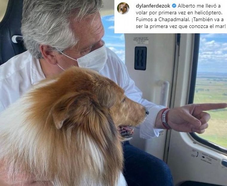 Polémica por el posteo del viaje de Dylan, el perro del Presidente, en helicóptero.