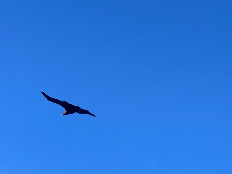 Matías Arrieta en la reserva ecológica Kuntur Huaca en Mina Clavero