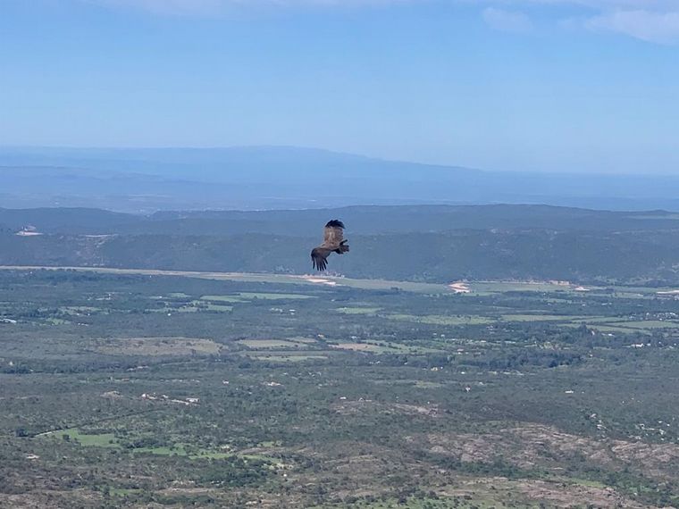 Matías Arrieta en la reserva ecológica Kuntur Huaca en Mina Clavero