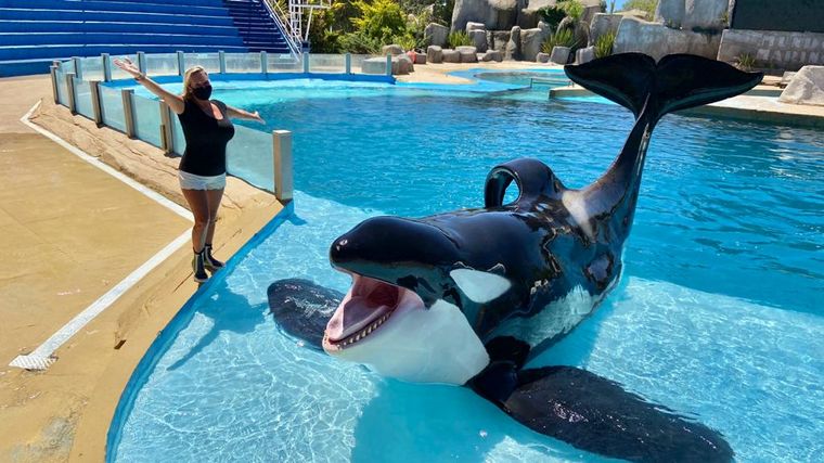 Visita a Mundo Marino, el oceanario más grande de Argentina