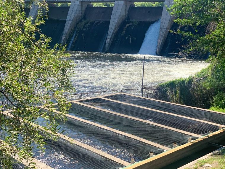 Matias Arrieta en un criadero de truchas Boca del Río 