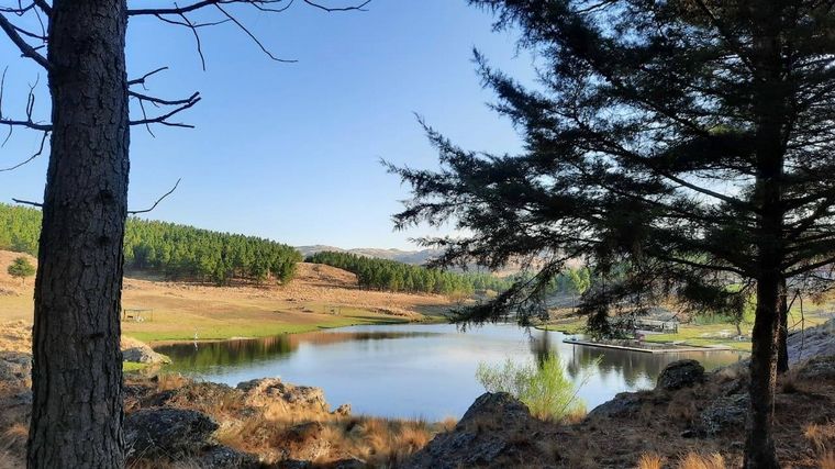 Parque Natural Los Vallecitos