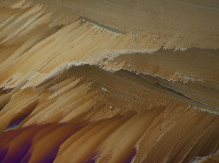 Foto: Fernan Federici