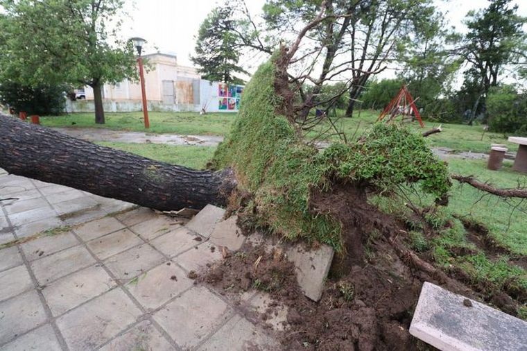 FOTO: Destrozos en Laborde tras el paso del tornado