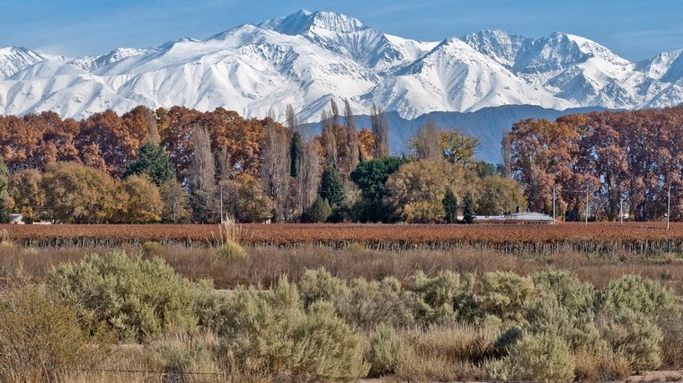 Mendoza la única provincia Argentina recomendada por Forbes como destino para 2021