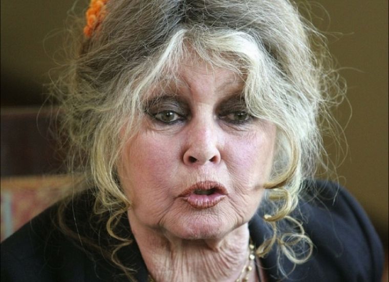Polémica: Brigitte Bardot dijo que