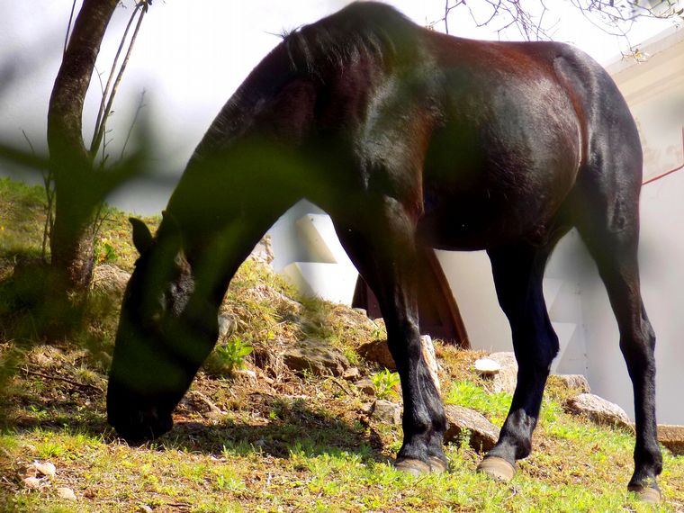 Un oasis cordobés con una cascada, dos arroyos y una capilla