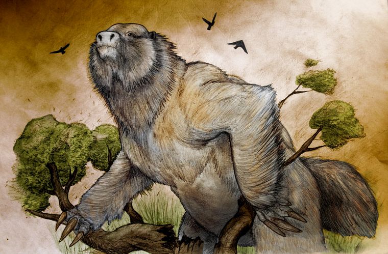 Miramar: hallan restos de un megaterio de 3,5 millones de años