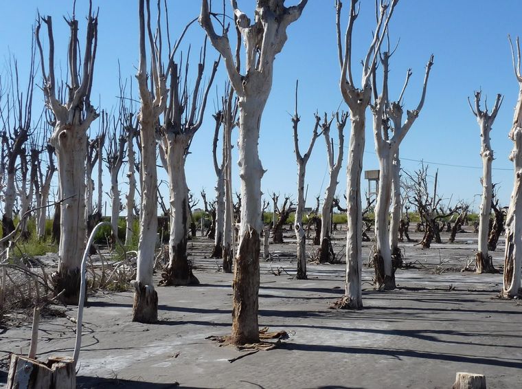 Villa Epecuén