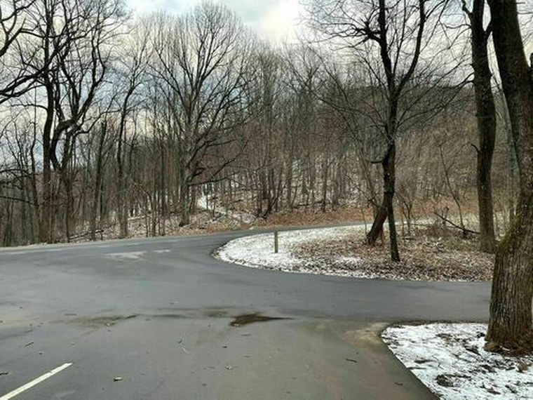 Salió a pasear y volvió con un curioso