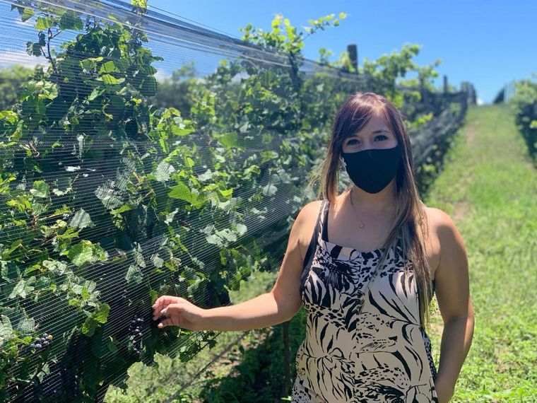Bodega Del Gredal, perla enológica del norte cordobés