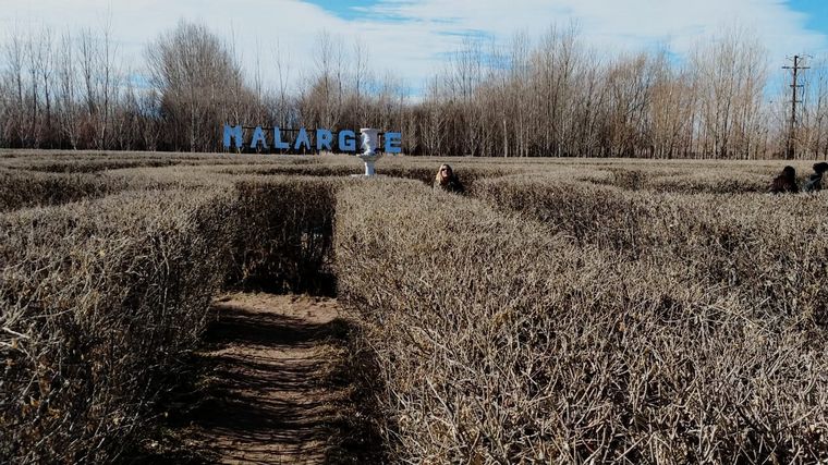 Laberintos Carmona de Malargüe.