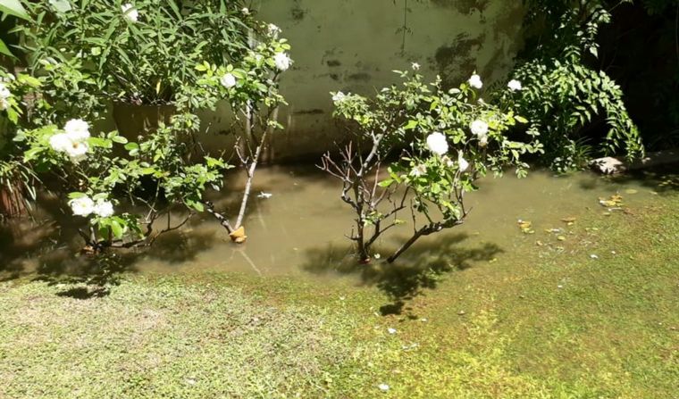 El hecho sucedió en la tarde de este sábado.