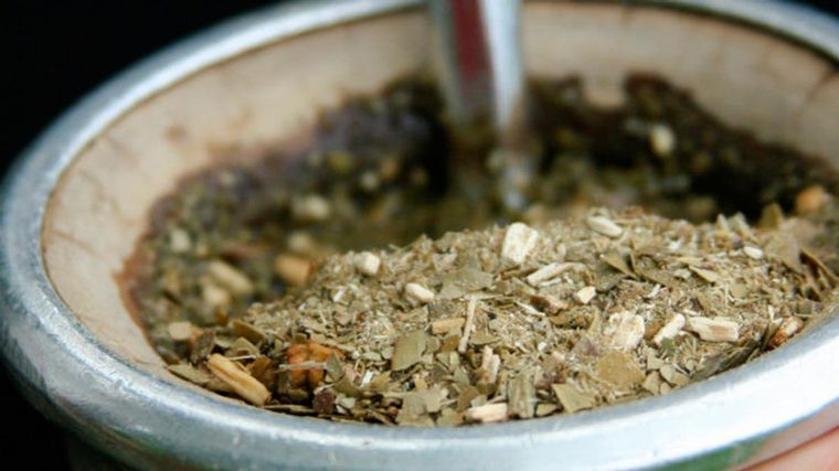 Yerba Mate