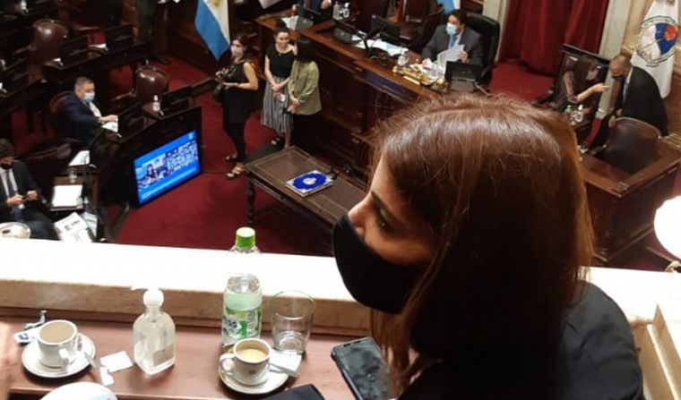 Juró Ricardo Guerra, el reemplazante de Menem en el Senado.