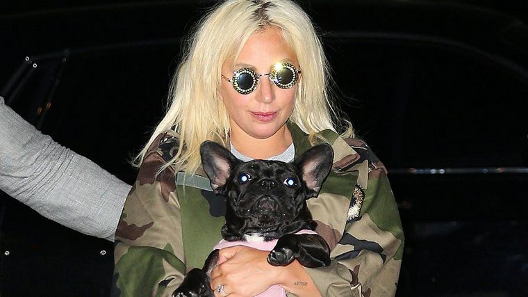 Lady Gaga sufrió el robo de dos de sus perros (Foto: Getty)