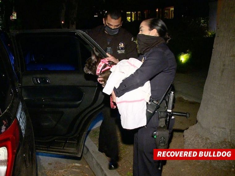 Lady Gaga sufrió el robo de dos de sus perros (Foto: Getty)