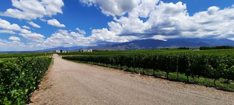 El turismo interno reactivó la temporada en Mendoza