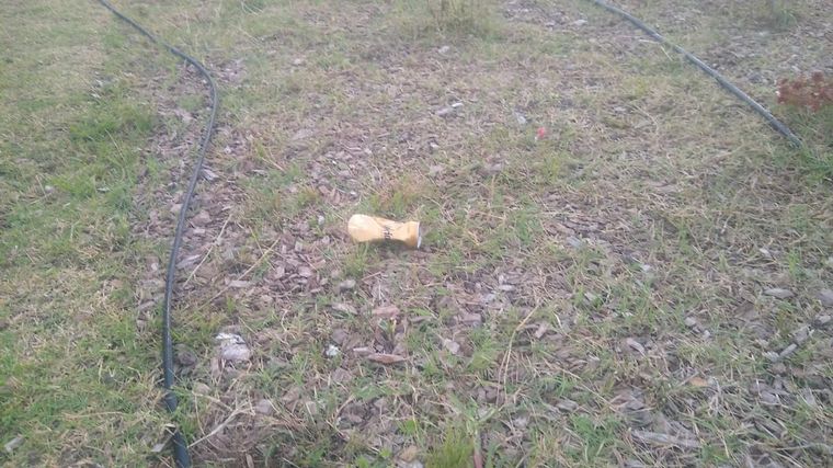 Descontrol y festejos por el