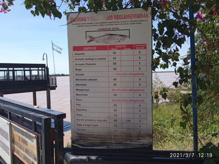 Pesca deportiva de boga en la Costanera Central de Rosario
