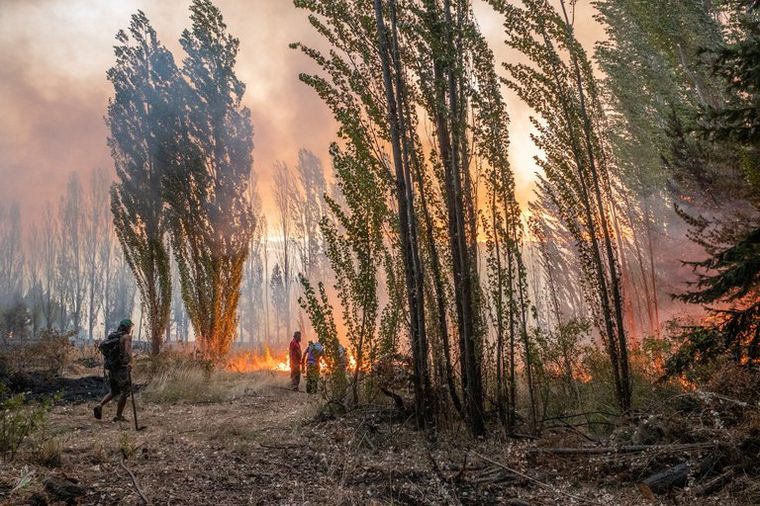 Las llamas causaron un desastre en el sur argentino (Foto: Reuters).