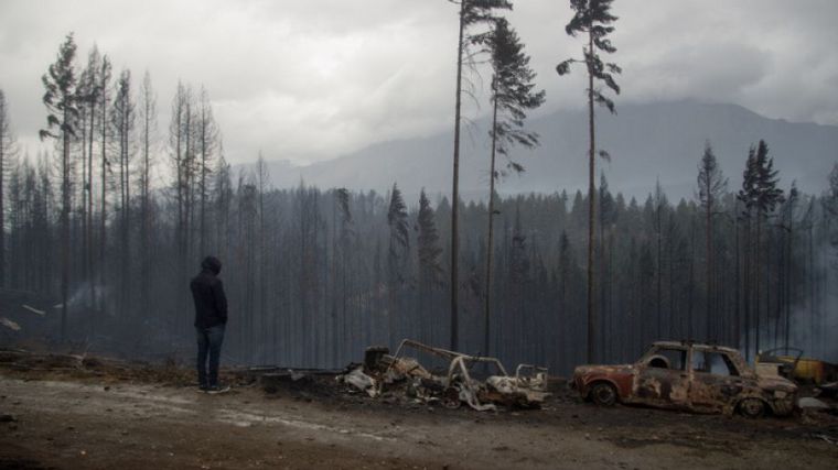 Desolador panorama tras los incendios en el sur argentino (Foto: Diario de Río Negro)