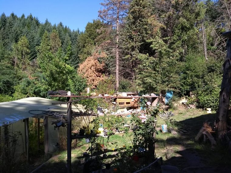 El fuego arrasó la zona de Las Golondrinas en Chubut.