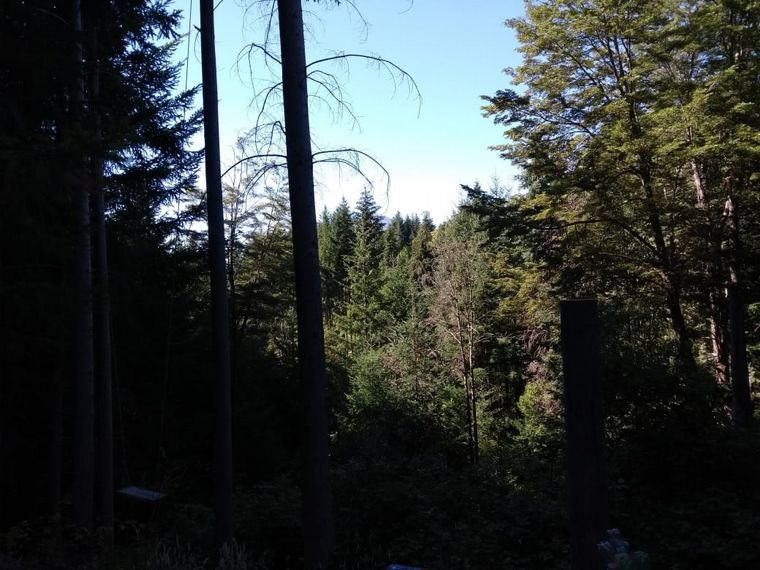 El fuego arrasó la zona de Las Golondrinas en Chubut.