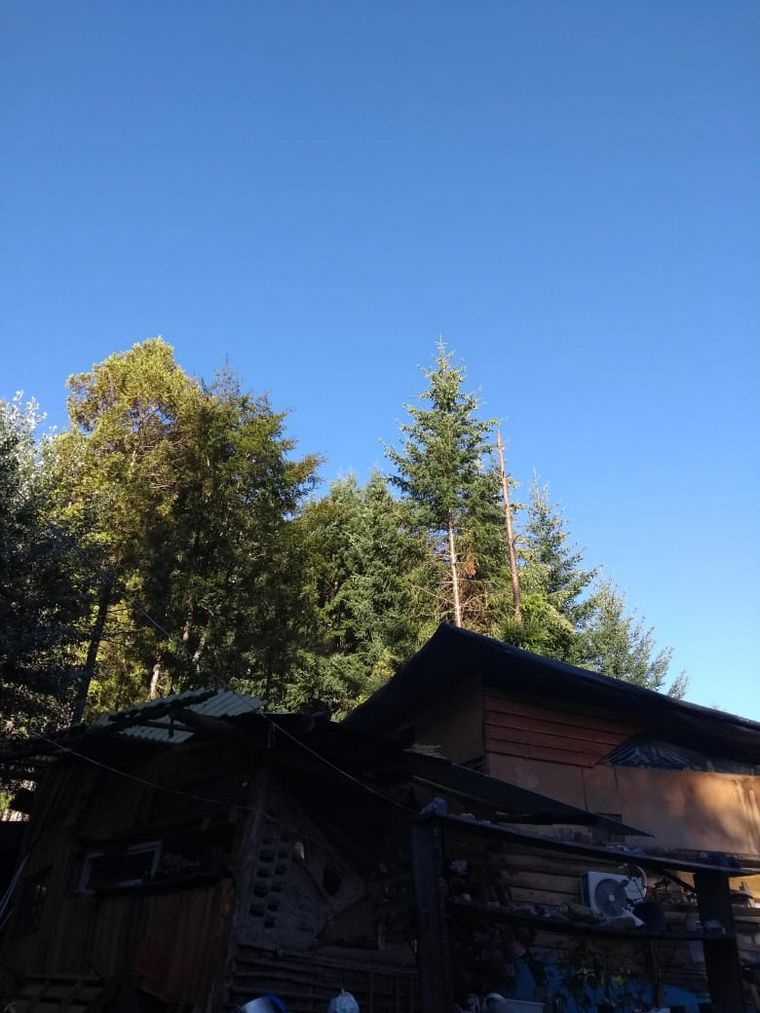 El fuego arrasó la zona de Las Golondrinas en Chubut.