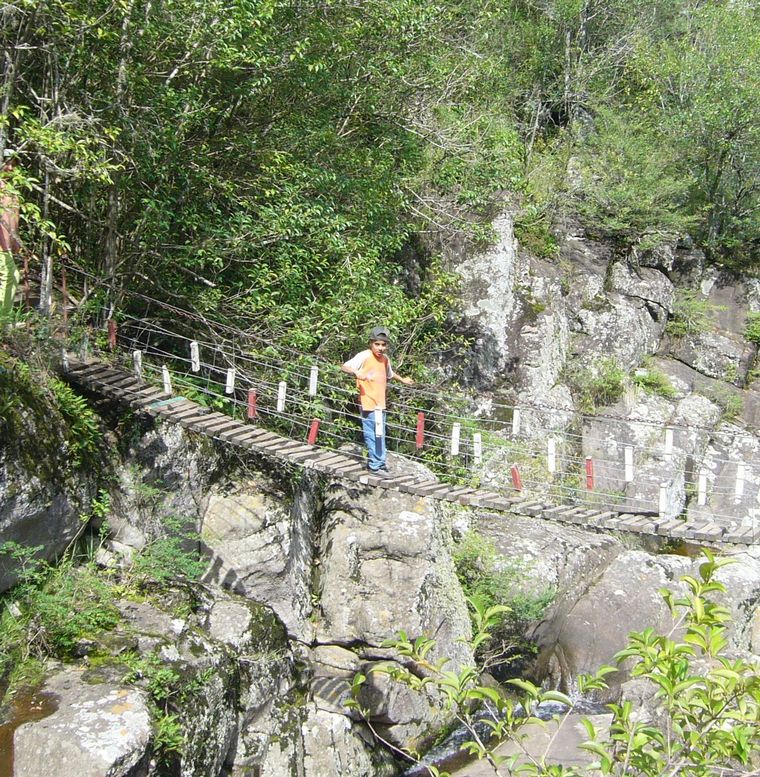 Cueva de los Pajaritos