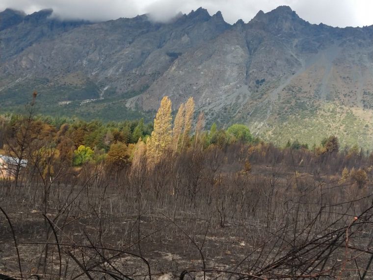 Las estremecedoras imágenes del incendio en Chubut