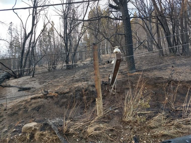 Las estremecedoras imágenes del incendio en Chubut