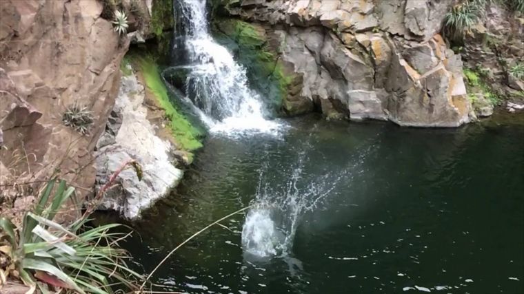 El hombre tenía 39 años y provenía de Buenos Aires.