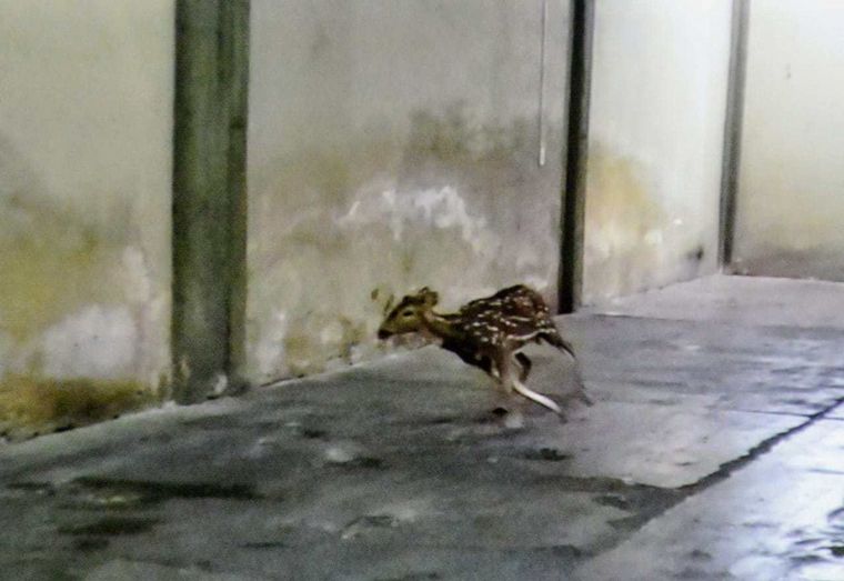 Foto: Sebastián Suárez Mecia (La Capital).