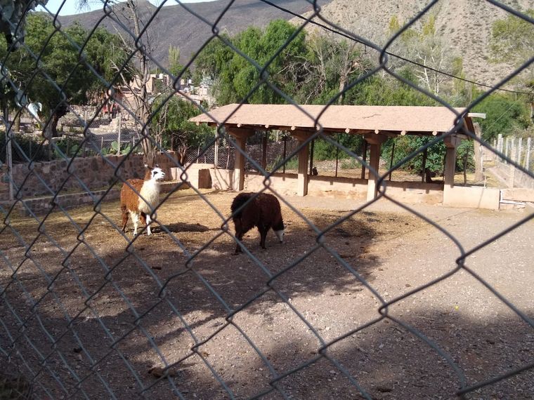 Orlando Morales en Tilcara