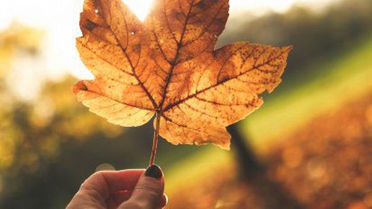 ¿Cuándo comienza el otoño en Argentina?