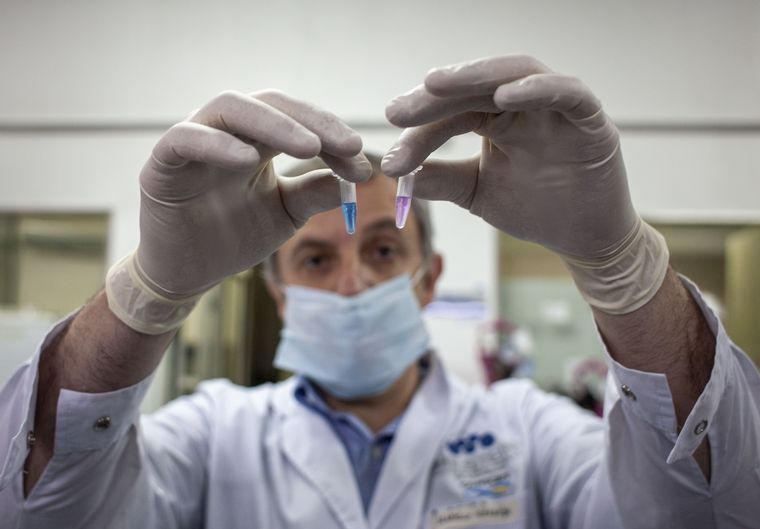 Argentina se acerca a las 55 mil muertes por coronavirus.