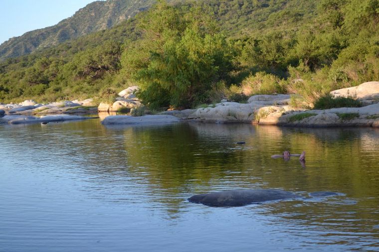 Javier Pincemin-Flickr