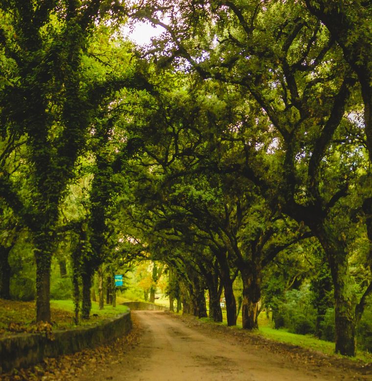 Bruno Aiub Robledo-Flickr