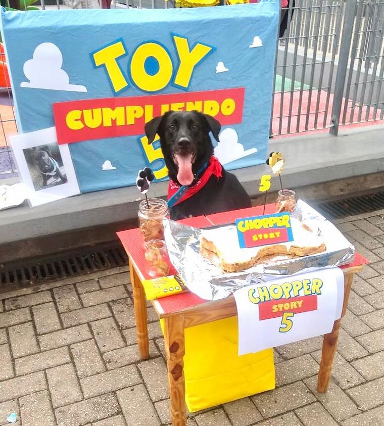 Festejo de cumpleaños de Tony Chopper.