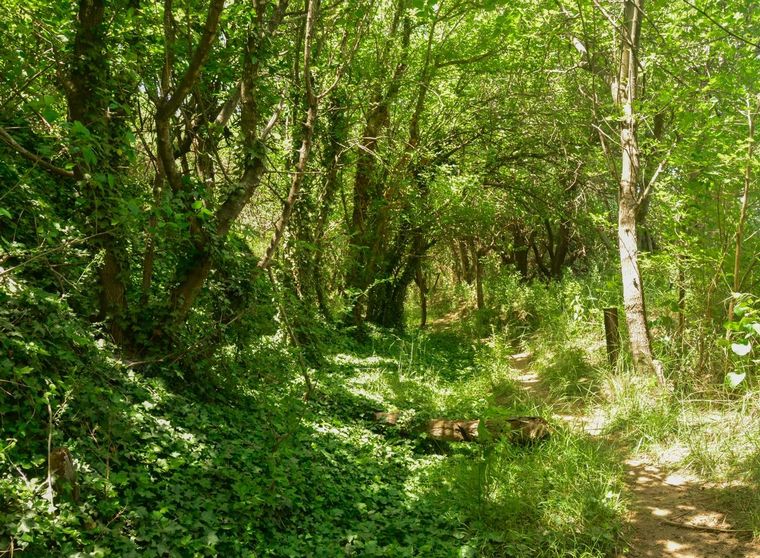 Reserva Parque Natural Oeste