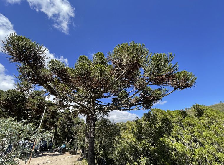 Dique San Jerónimo en La Cumbre