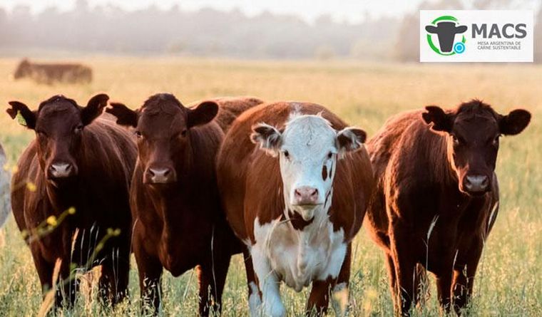 Grupo Libertad, en la Mesa Argentina de Carne Sustentable