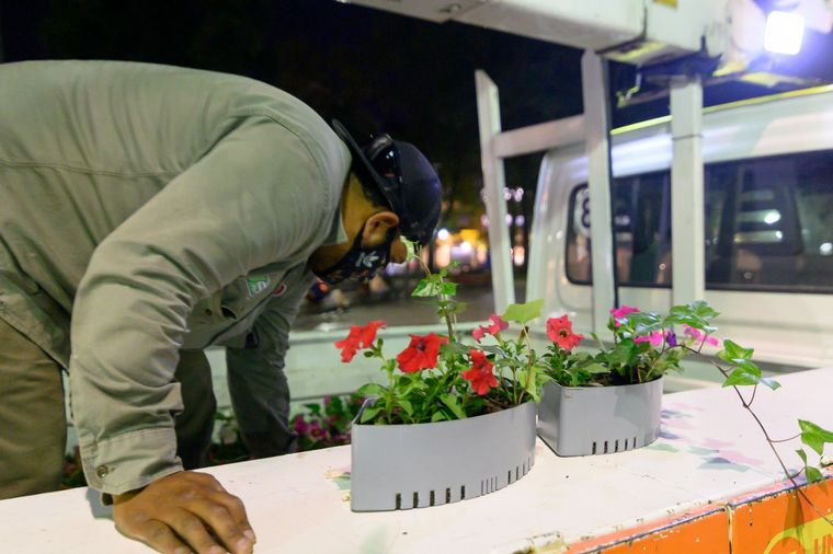 Colocan macetas con riego autónomo en la Plaza San Martín