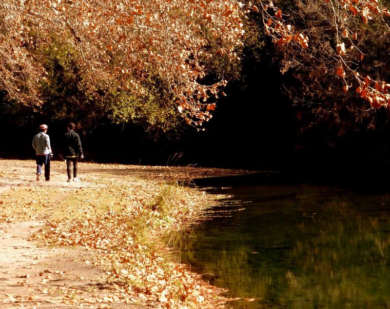 Martín Luna- Flickr