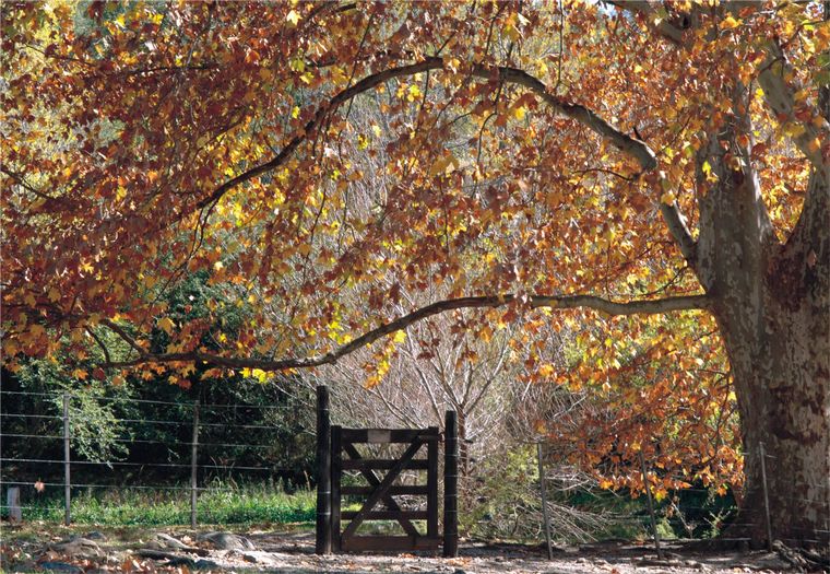 Agencia Córdoba Turismo