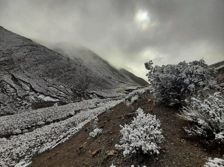 El norte de Jujuy amaneció cubierto de nieve
