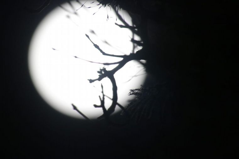 Las mejores imágenes de la Superluna Rosa en abril