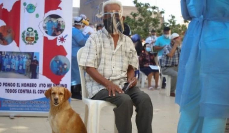 Tiene 85 y fue a vacunarse en compañía de su perro