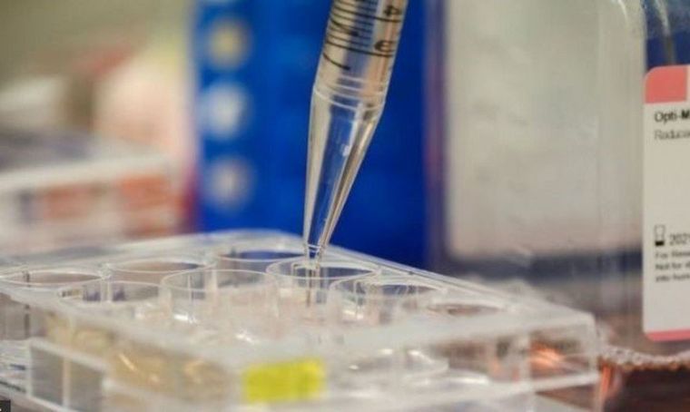 Descubren una forma de neutralizar el Covid-19 en un segundo